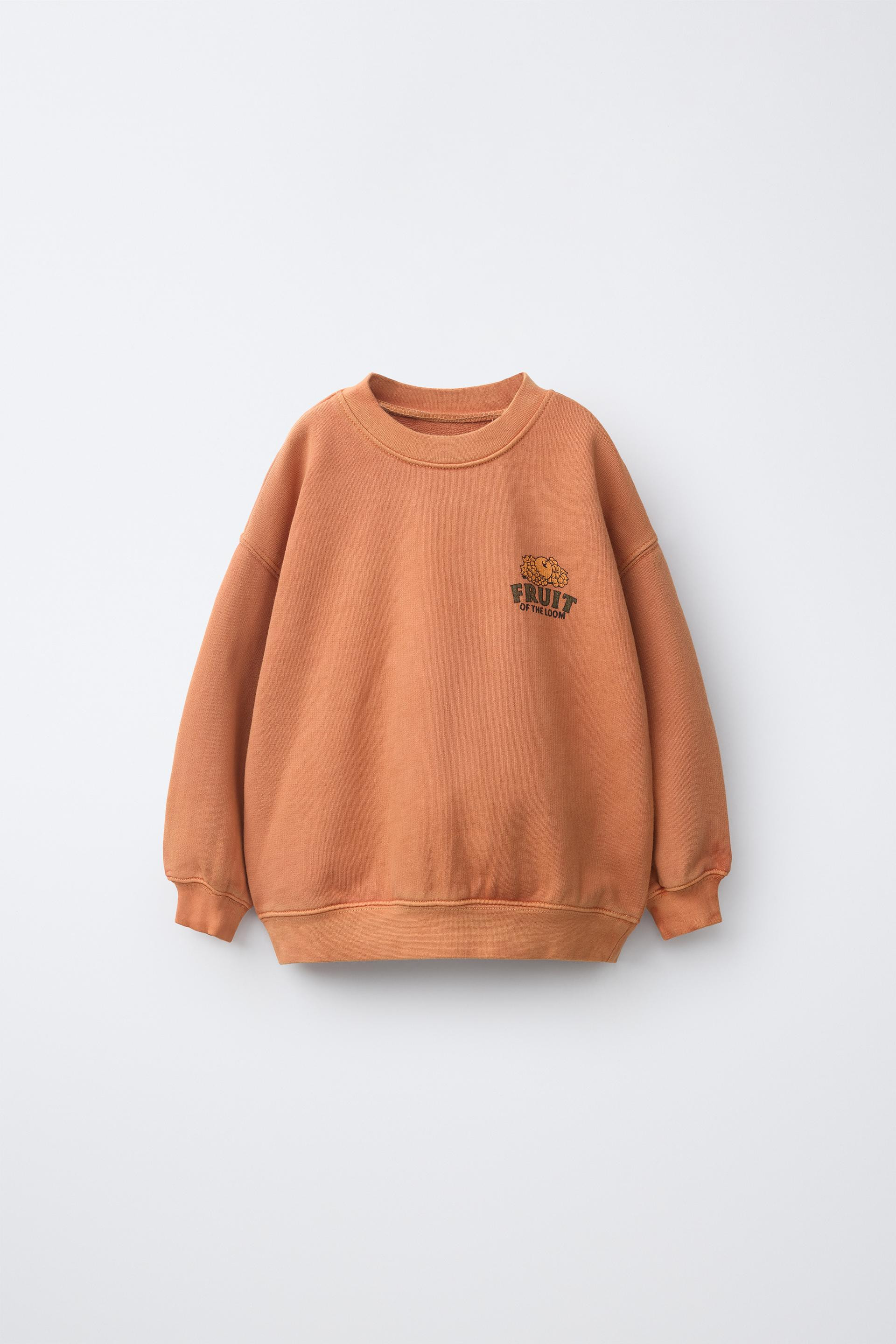 Zara - Fruit Of The Loom™ Print Sweatshirt - Purple - 4 Years (40,9 Inches) - Kids | Zara US