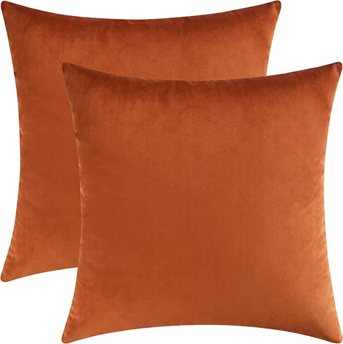Mixhug Set of 2 Cozy Velvet Square Decorative Throw Pillow Covers for Couch and Bed, Burnt Orange... | Amazon (US)