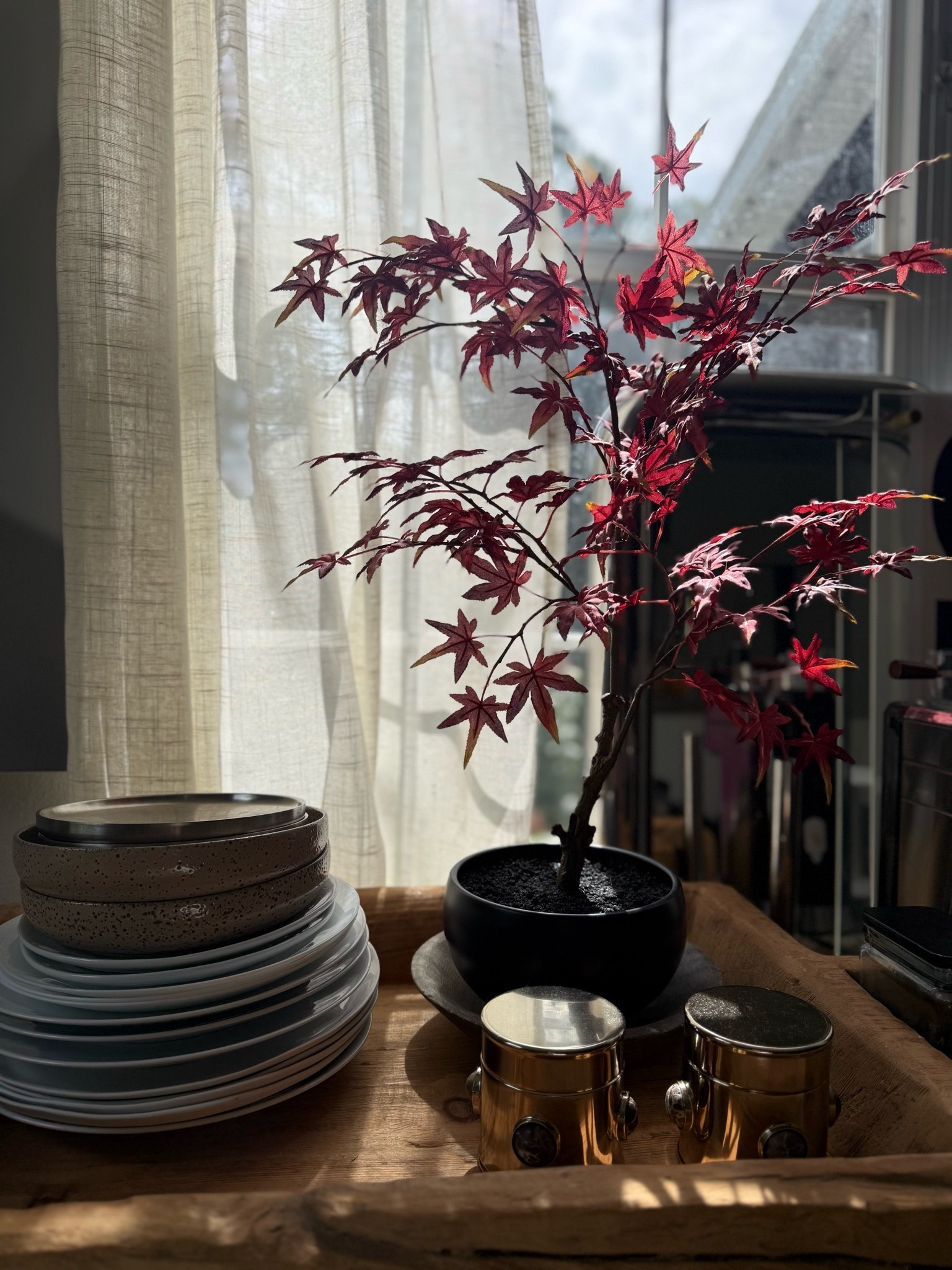Perfect fall tree Japanese maple. Faux and beautiful

#LTKSeasonal #LTKHome #LTKSaleAlert
