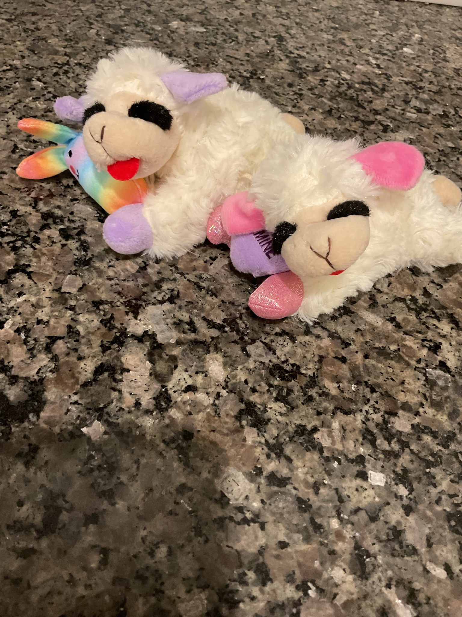 🐑petsmart haul🐑