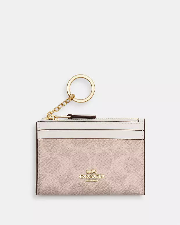 Mini Skinny Id Case In Signature Canvas | Coach Outlet US