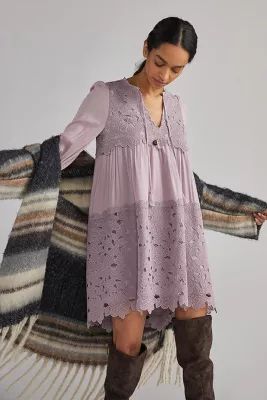 Embroidered Lace Tunic Dress | Anthropologie (US)