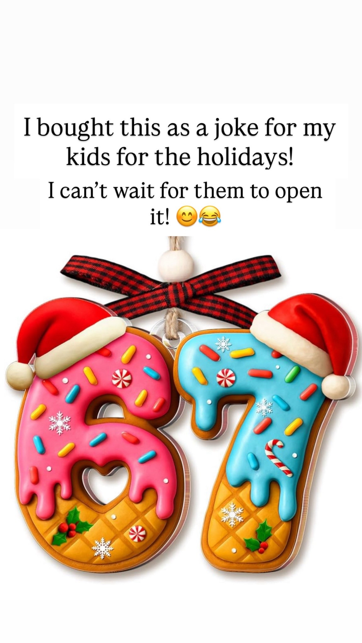 I still don’t know what it means, but I bought this for my kids for Christmas as a joke!

#LTKHoliday #LTKGiftGuide