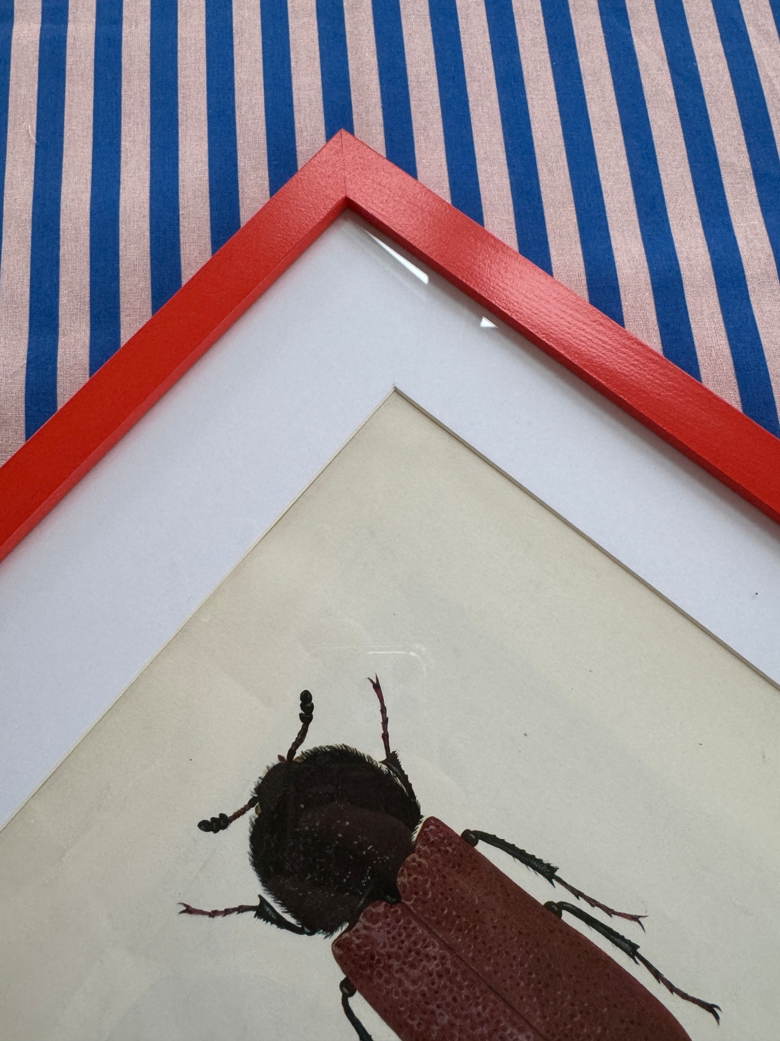 Found these fun, colorful wood frames for my vintage prints that I’ll hang in the lake house!

#LTKSwim #LTKSeasonal #LTKOver40