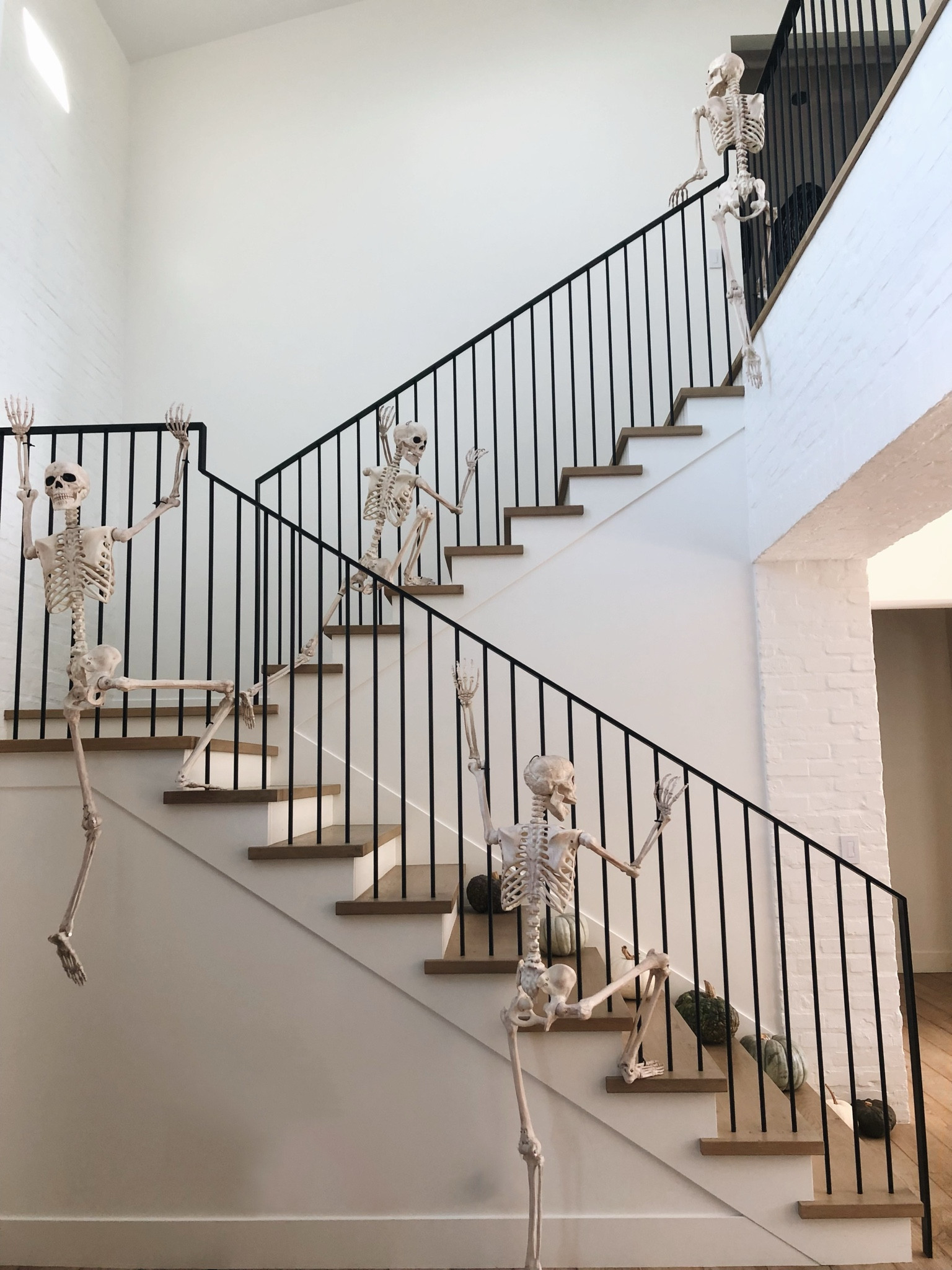 Skeleton season is here 

#LTKHalloween #LTKfindsunder50 #LTKhome