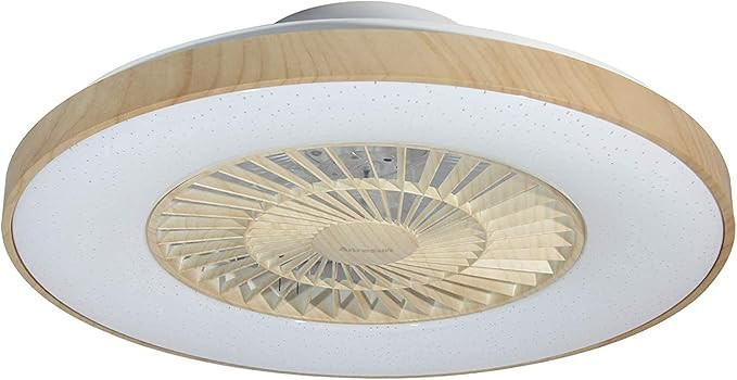 Anresun 23" LED Ceiling Fan with Lights, for Indoor Kitchen Bathroom Bedroom, Dimmable with Remot... | Amazon (US)