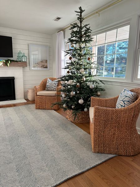 Coastal living room 
Blue coastal rug 
Seagrass chairs 