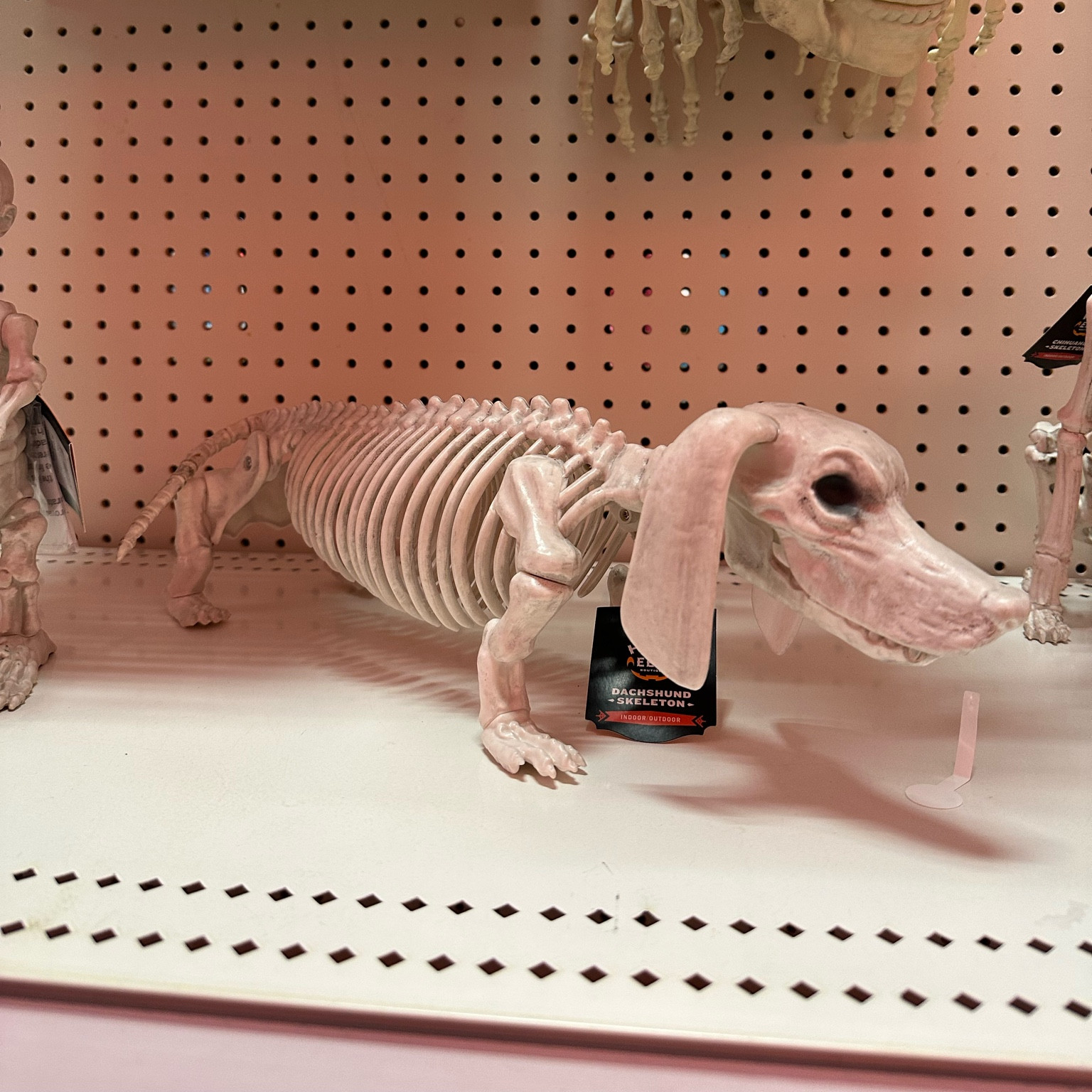 Skeleton, Halloween decor, weenie dog skeleton, dachshund skeleton, Target Halloween.

#LTKhome #LTKHalloween