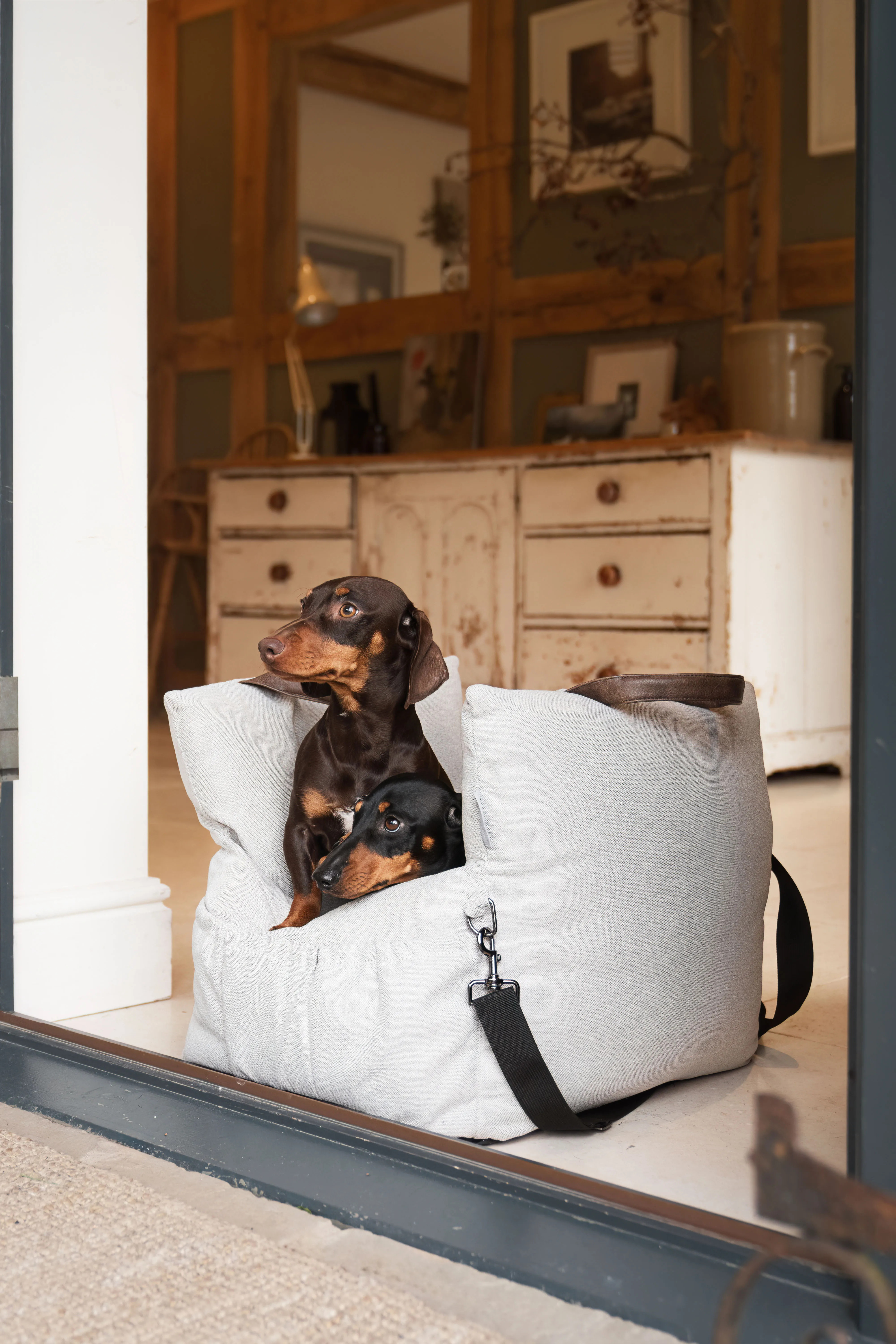 Pet Bedding & Furniture | Easy Dog Traveller | Lords & Labradors | Debenhams UK