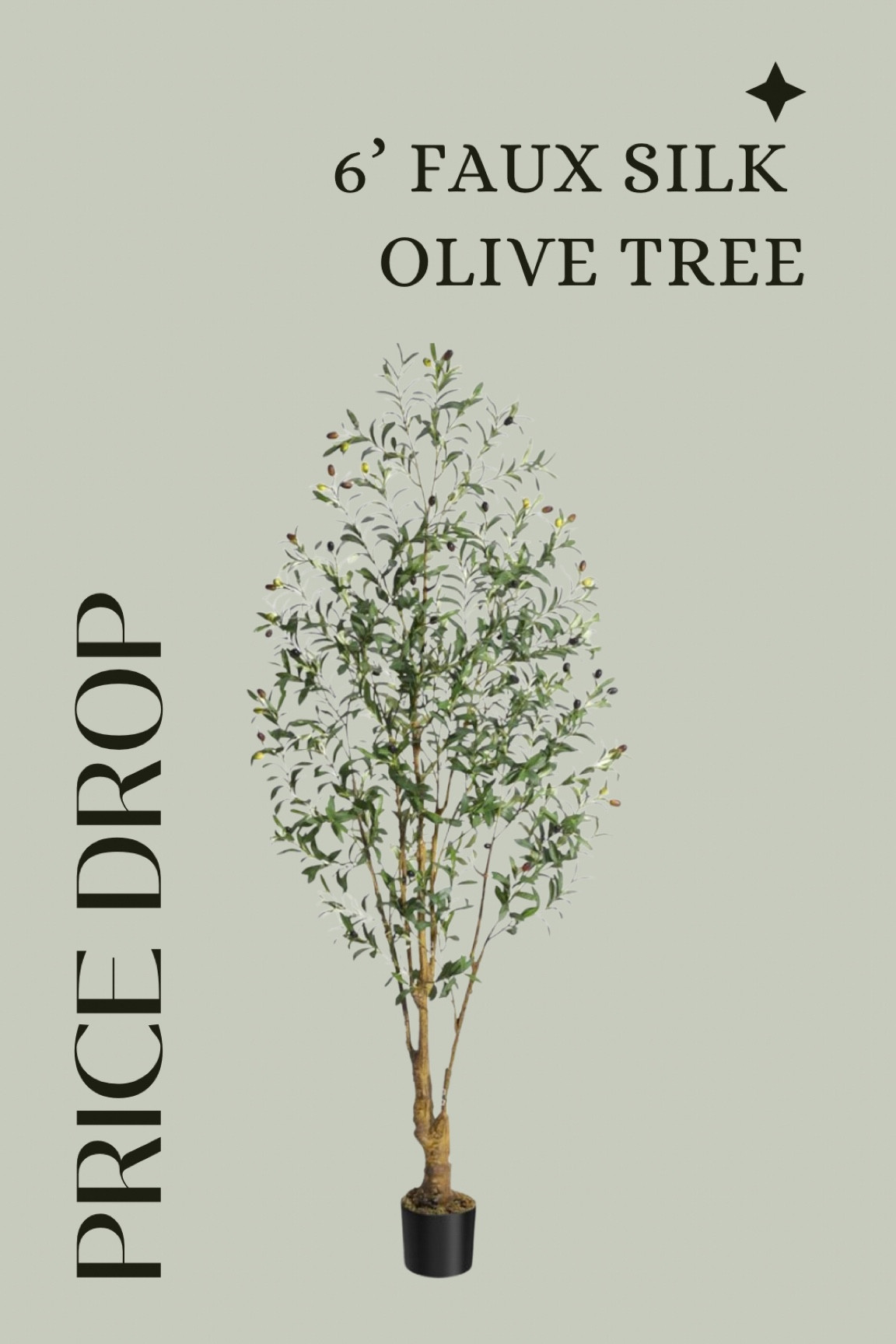 Price drop on this beautiful 6’ olive branch tree!

#LTKSaleAlert #LTKHome #LTKOver40