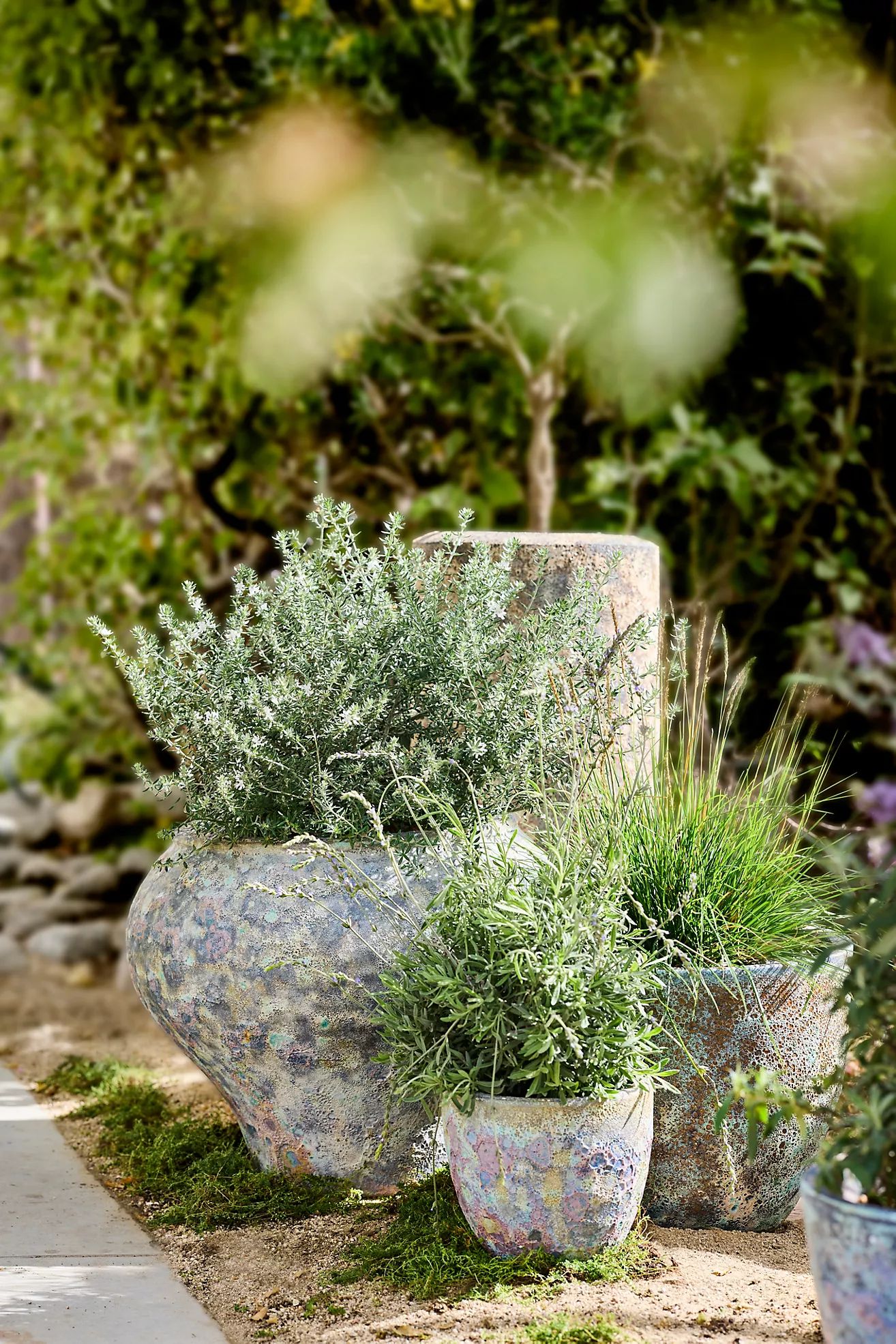 Barnacle Curved Jar Planter | Terrain