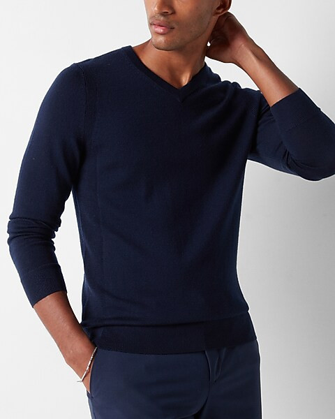 Solid Merino Wool V-Neck Sweater | Express