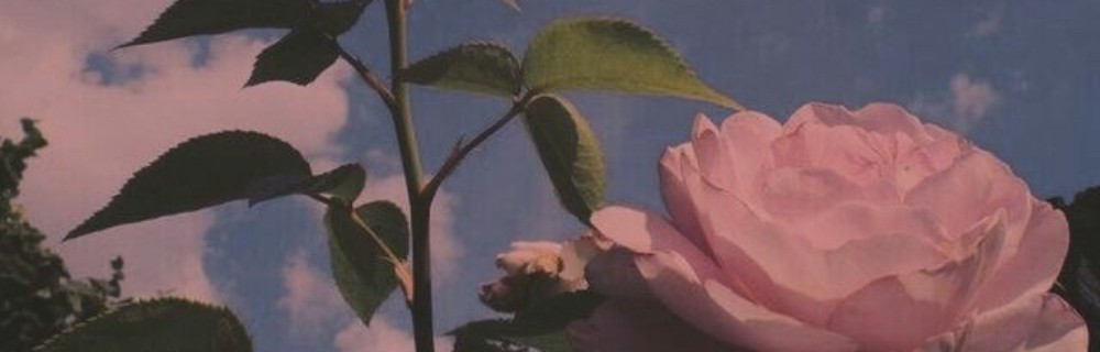 Shop my favorite products | Amazon (US)