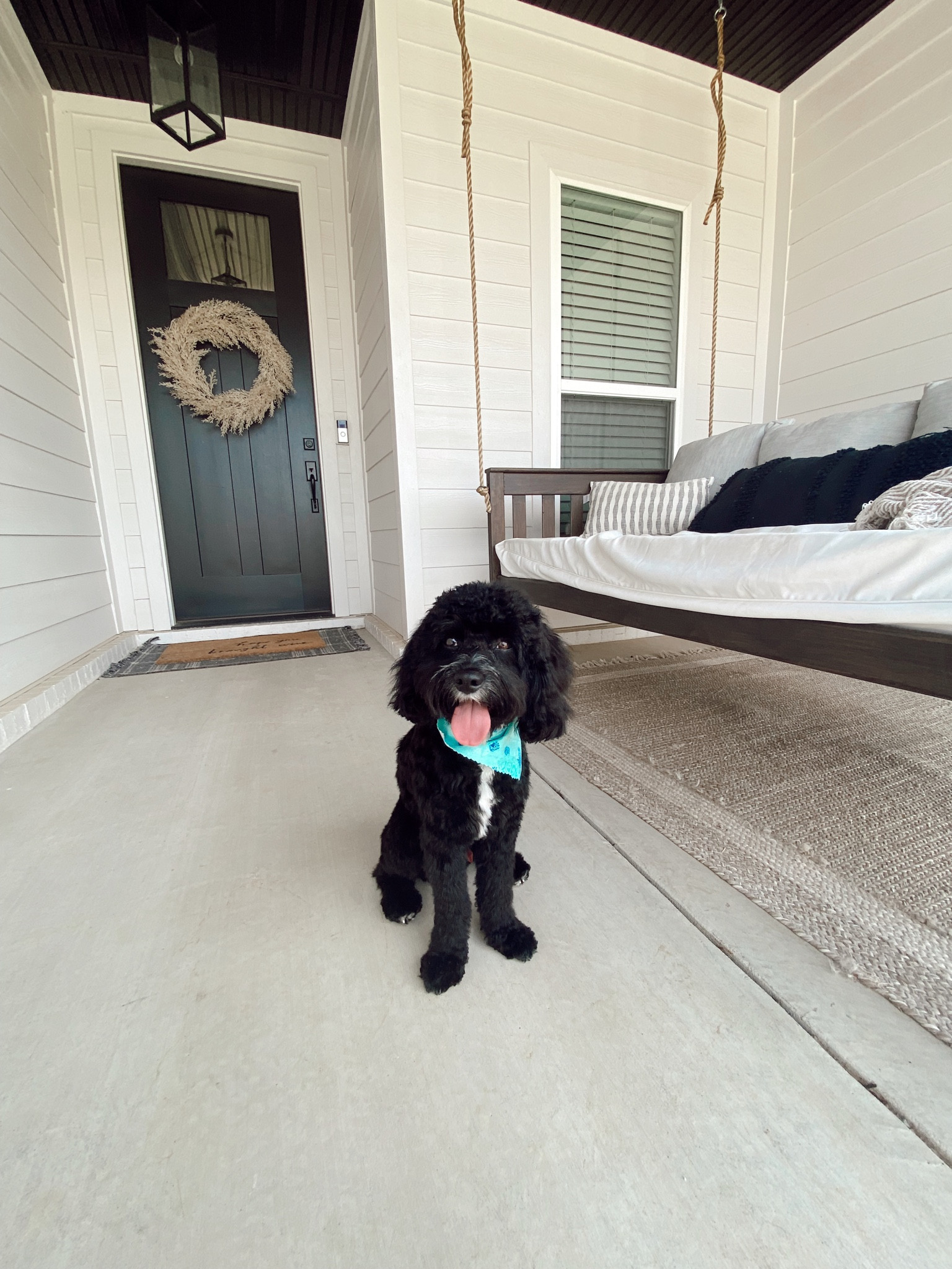 We love our cozy front porch! Wally especially loves getting to see all of our neighbors walk by! 

#LTKfamily #LTKSeasonal #LTKhome