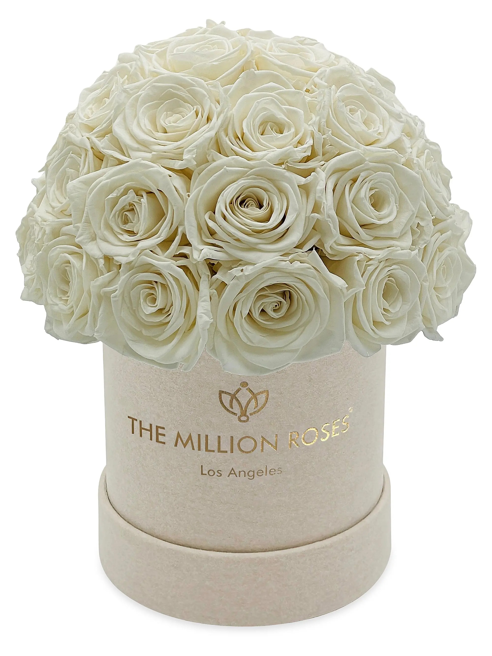 Basic Suede Superdome Box | Saks Fifth Avenue