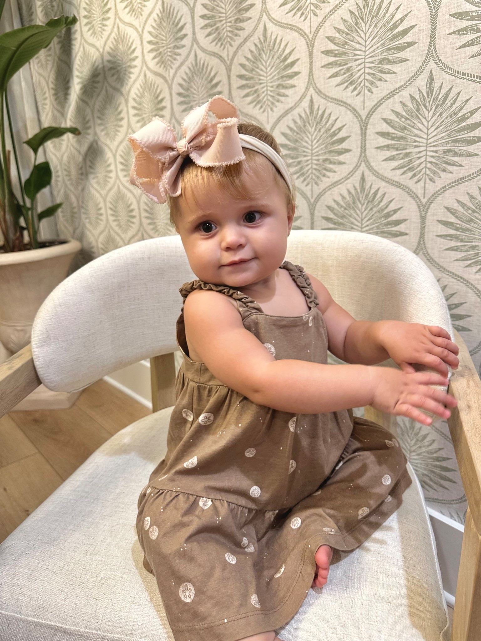 The cutest little sand dollar baby dress with built in bottoms. So soft and cute. 