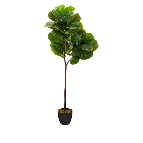 new!


                Nearly Natural 5' Fiddle Leaf Tree in Nursery Planter | HSN