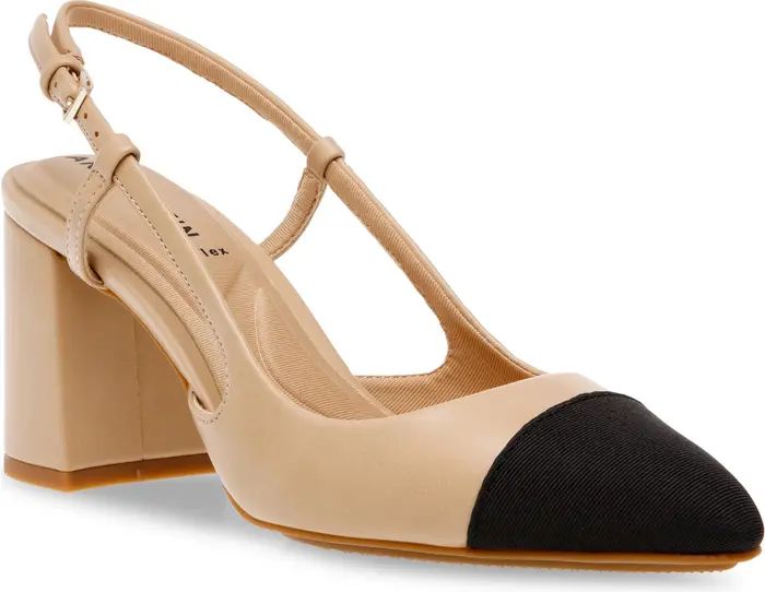 Brinlee Pointed Toe Pump (Women) | Nordstrom