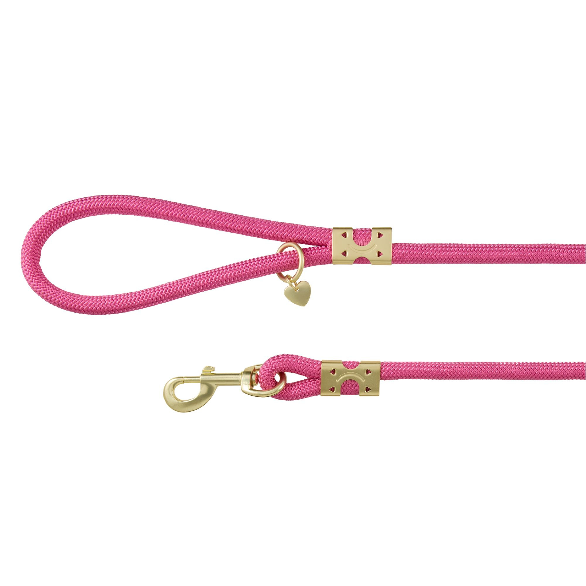 Top Paw® Fashion Dog Lead 4 Ft | PetSmart
