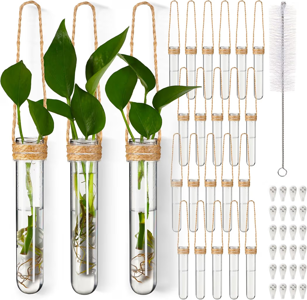 Baderke 24 Pack Plastic Hanging Propagation Tubes Propagation Station Vases Wall Hanging Plant Va... | Amazon (US)