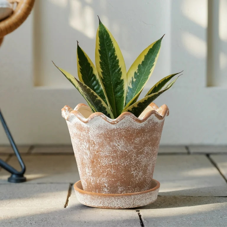 My Texas House 8" Wave Terracotta Ceramic Planter Pot, Indoor & Outdoor Use | Walmart (US)