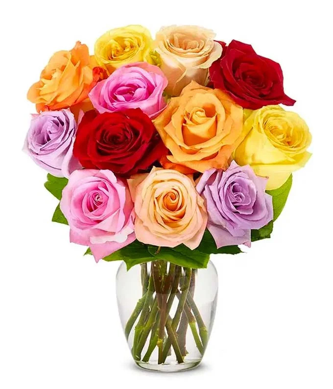 From You Flowers - 12 Rainbow Roses (Pink, Red, Yellow, Orange, Purple) with Free Vase (Fresh Flo... | Walmart (US)