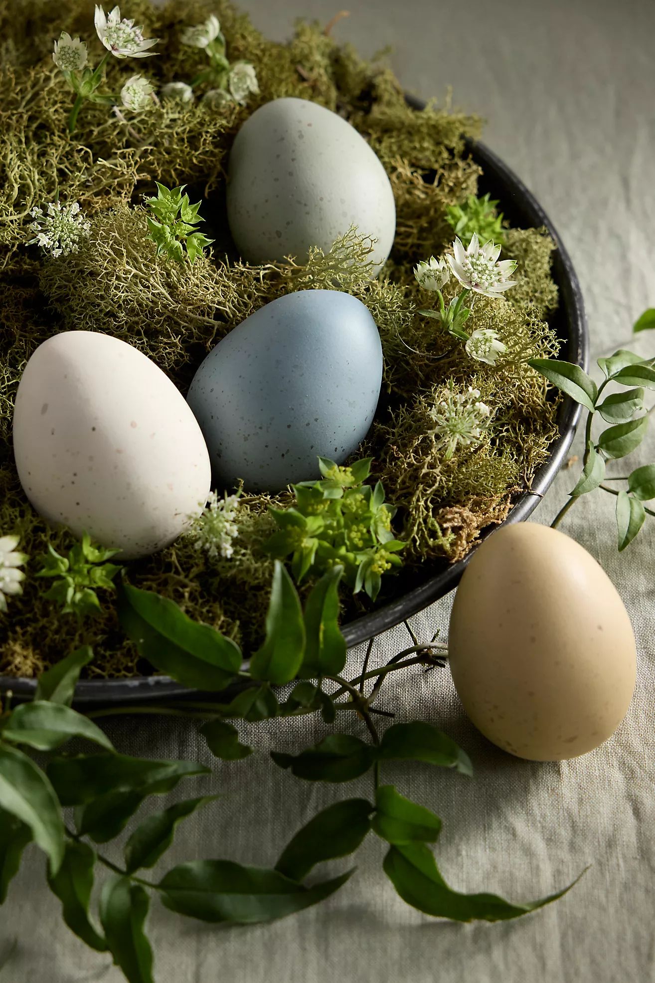 Speckled Decorative Eggs, Set of 4 | Anthropologie (US)