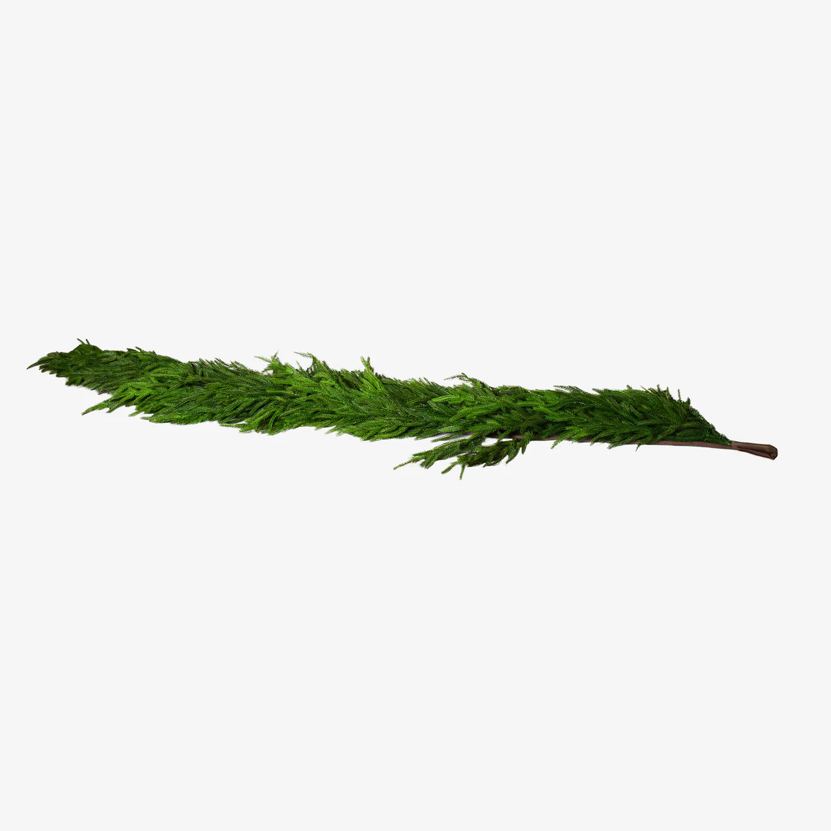 72" x 16" Norfolk Pine Garland | Stoffer Home