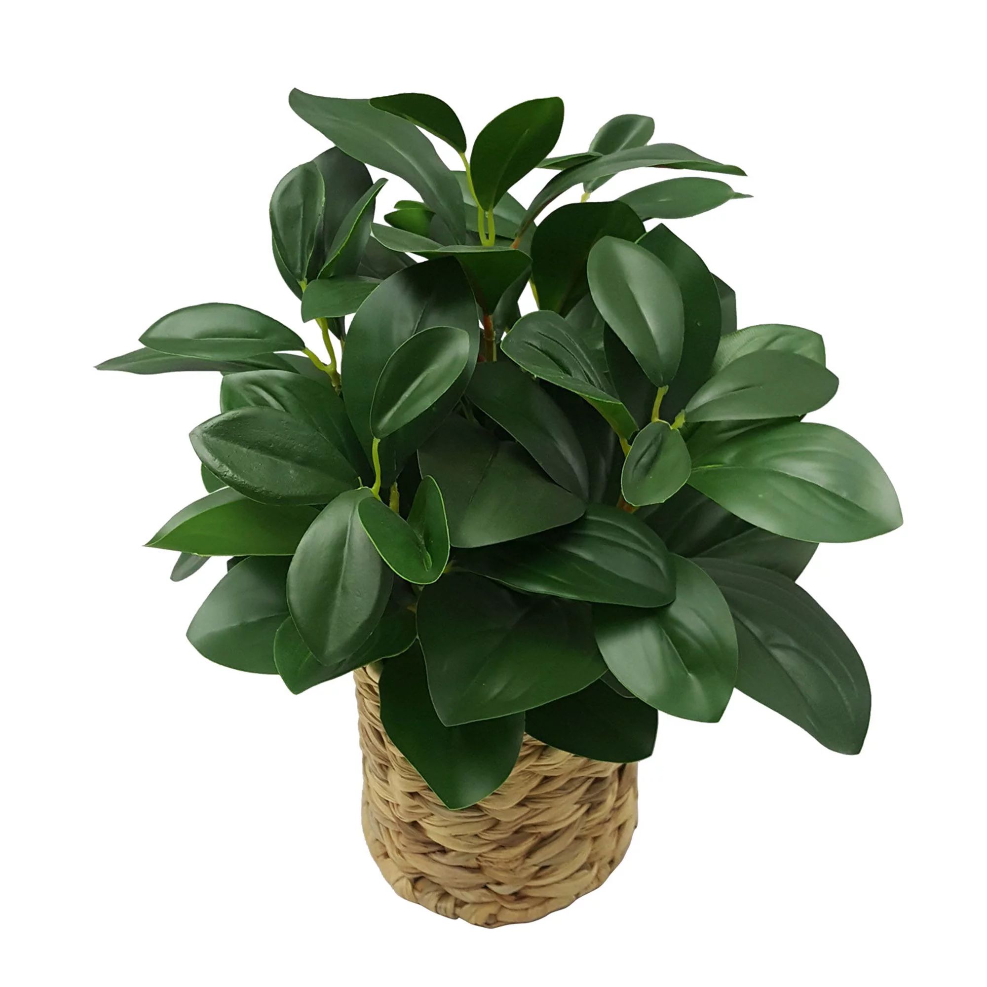 Better Homes & Gardens Peperomia Faux Plant in Water Hyacinth Basket, 13" - Walmart.com | Walmart (US)