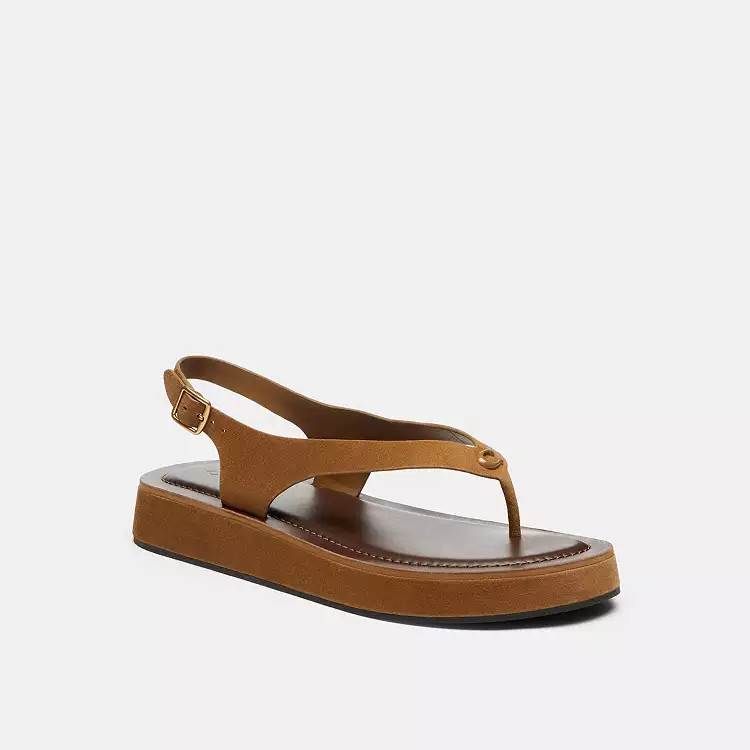 Sculpted C Platform Thong Sandal | Coach (US)