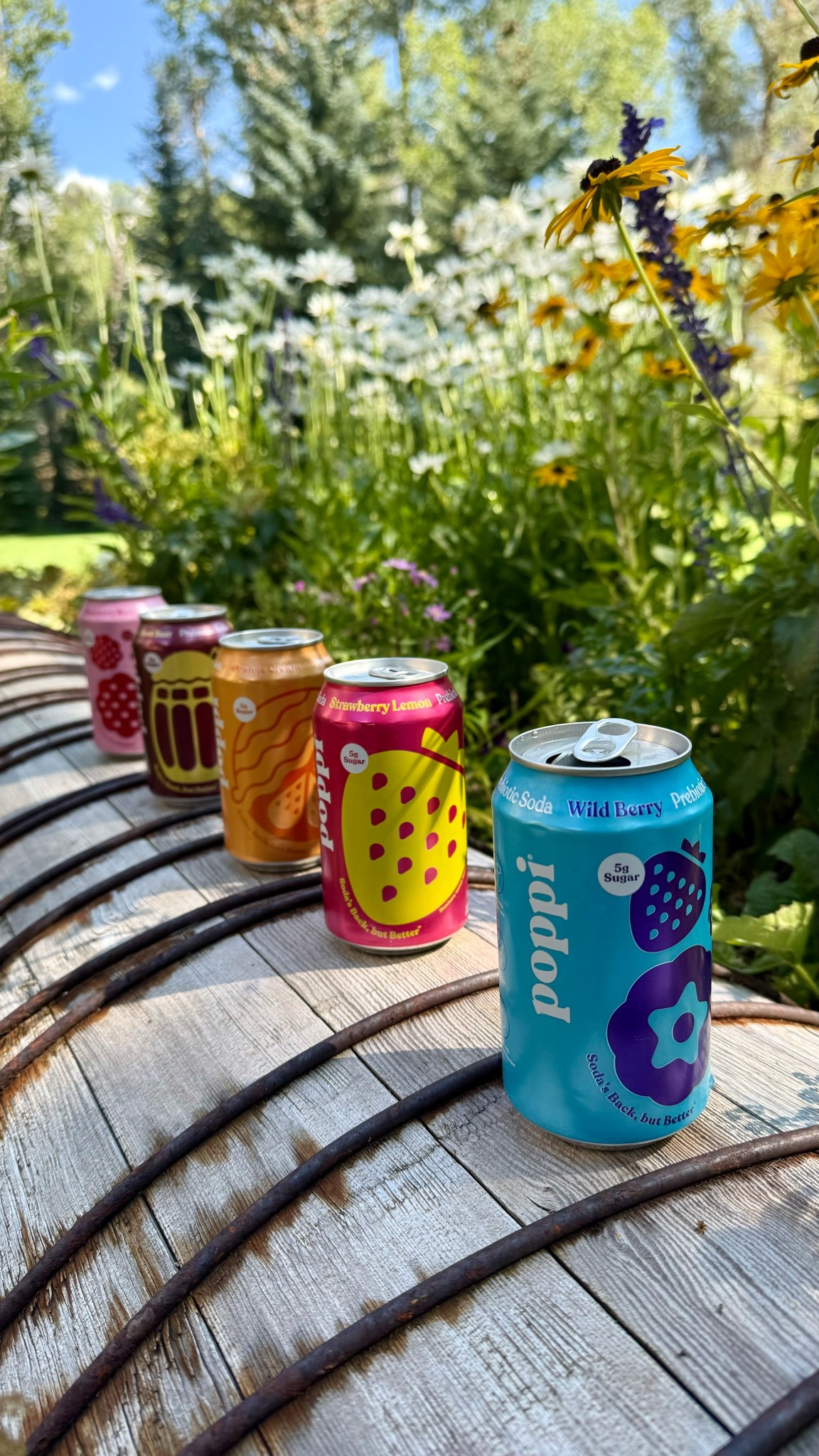 The perfect Labor Day weekend line up if you’re looking for refreshing drink that’s low sugar 🩷🤎🧡❤️🩵