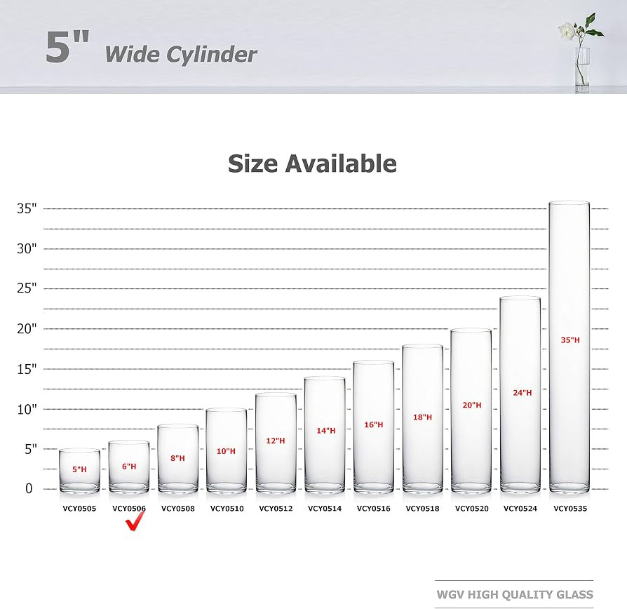 WGV Cylinder Vase, Diameter 5", Height 6", Clear Glass Floral Planter Container, Floating Candle ... | Amazon (US)
