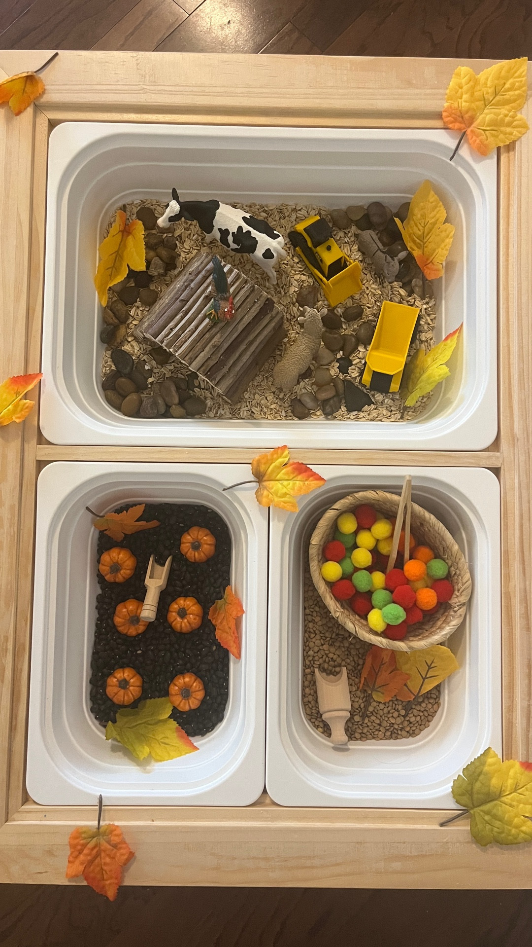 Fun toddler activity🤎 fall themed sensory bin for kids🍂

#LTKKids #LTKSeasonal #LTKFamily