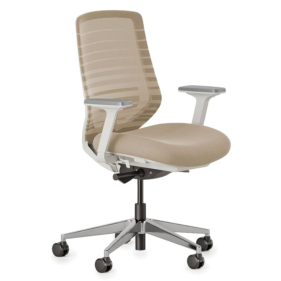 Branch Ergonomic Chair - A Versatile Desk Chair with Adjustable Lumbar Support, Breathable Mesh B... | Amazon (US)