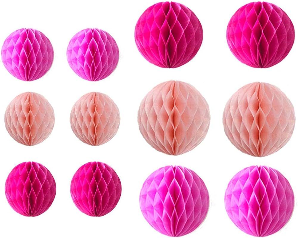 12pcs 6 inch 8 inch Tissue Paper Honeycomb Balls Party Backdrop Decoration Paper Flower Balls Cra... | Amazon (US)