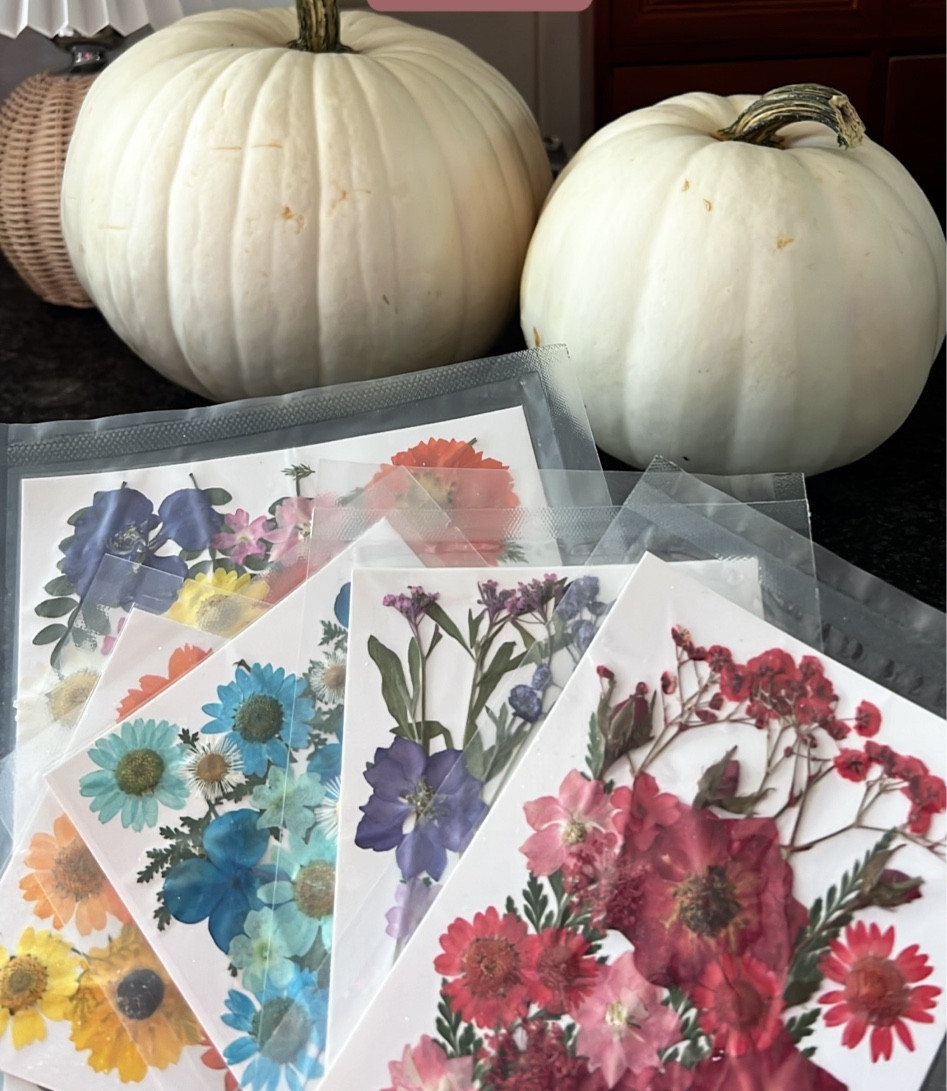 DIY dried flower pumpkins!

#LTKHalloween #LTKHome #LTKFindsUnder50