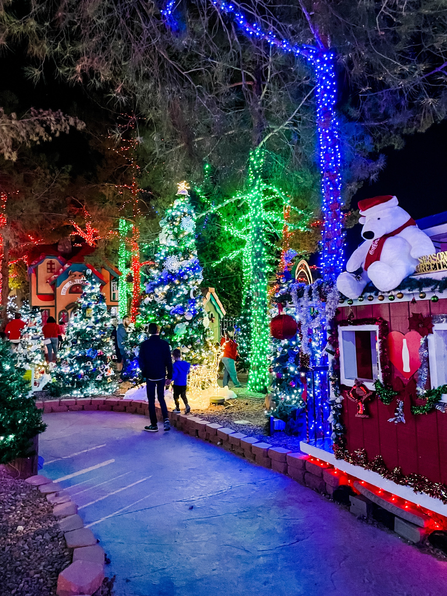 The best price you’ll find for the Opportunity Village Magical Forest is on Groupon! 