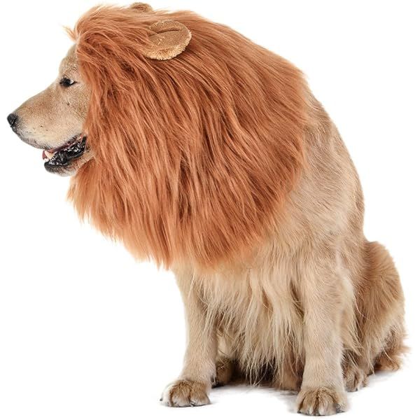 CPPSLEE Lion Mane for Dog Costumes, Dog Lion Mane, Realistic Lion Wig for Medium to Large Sized Dogs | Amazon (US)