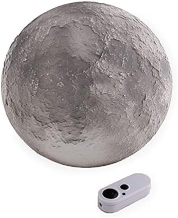 Moon in My Room, New Edition | Amazon (US)