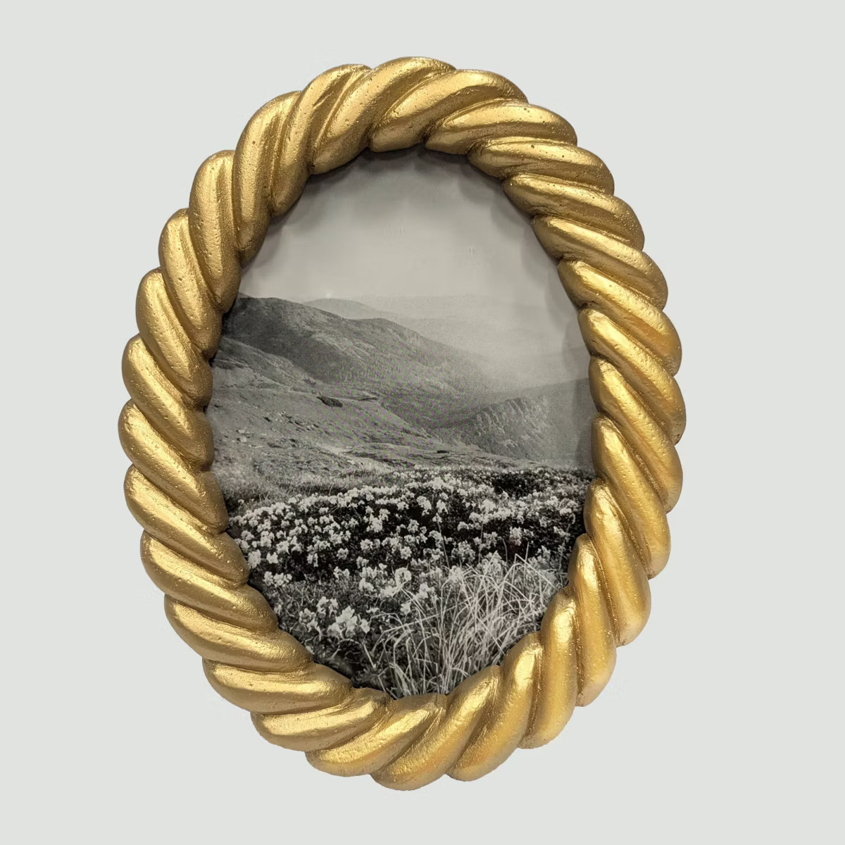 Harbortown 5"x7" Coiled Oval Table Picture Frame Gold | Target