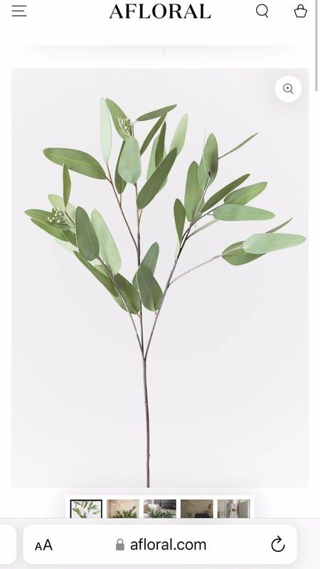 My faux eucalyptus stems are on final sale for $9.95 and originally $32 per stem! 

#LTKsalealert #LTKfindsunder50 #LTKhome