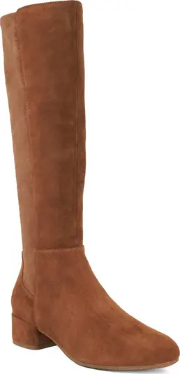 Dune London Tayla Knee High Boot (Women) | Nordstrom | Nordstrom