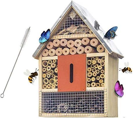 FUNPENY Bee House, Wooden Backyard Hanging Bamboo Tube Insect Hotel for Butterfly, Garden Bees an... | Amazon (US)
