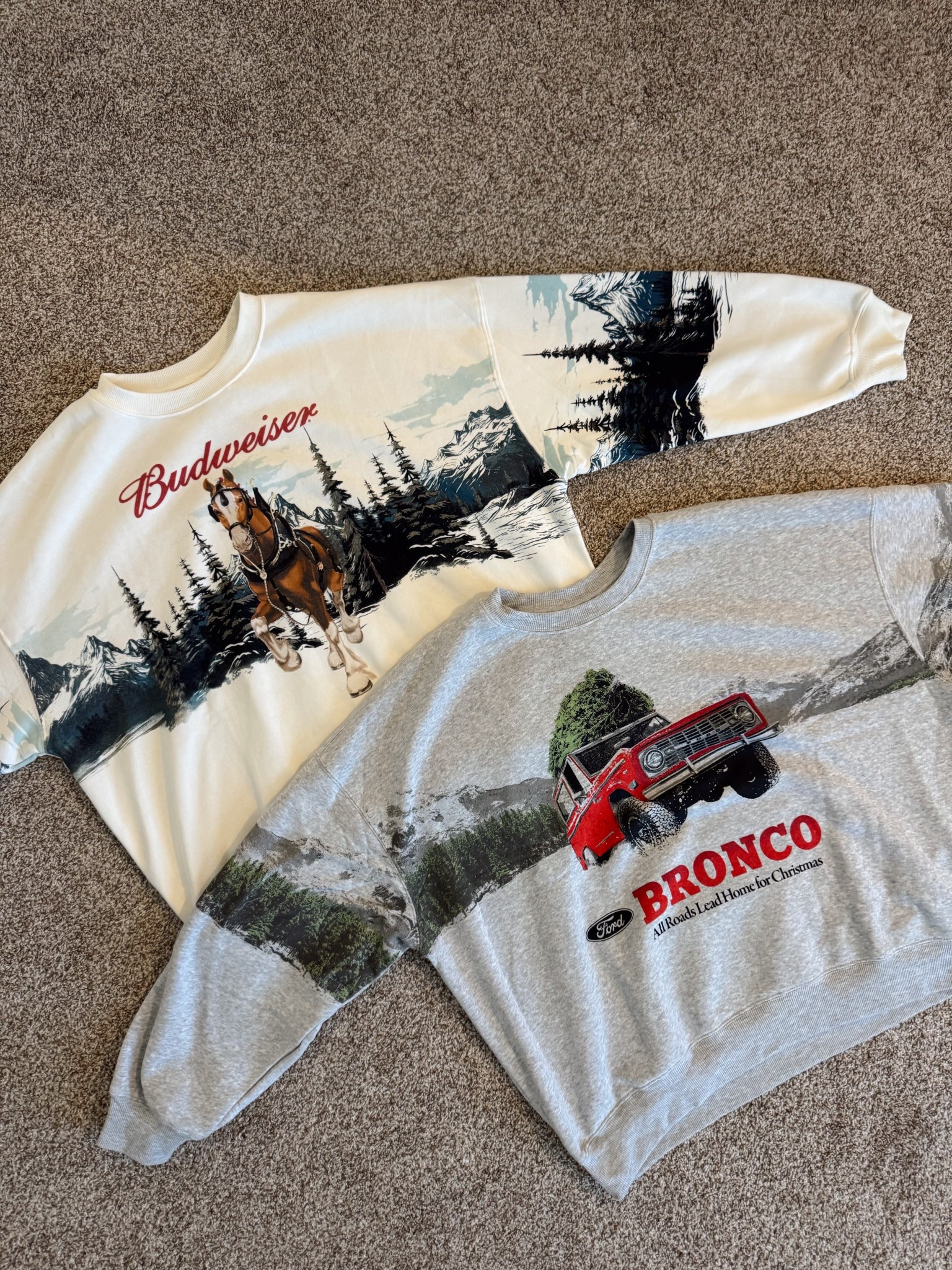 New graphic sweatshirts from Target 🤎
Sized up two for a comfy, oversized fit (XL)

#LTKHoliday #LTKStyleTip #LTKSeasonal