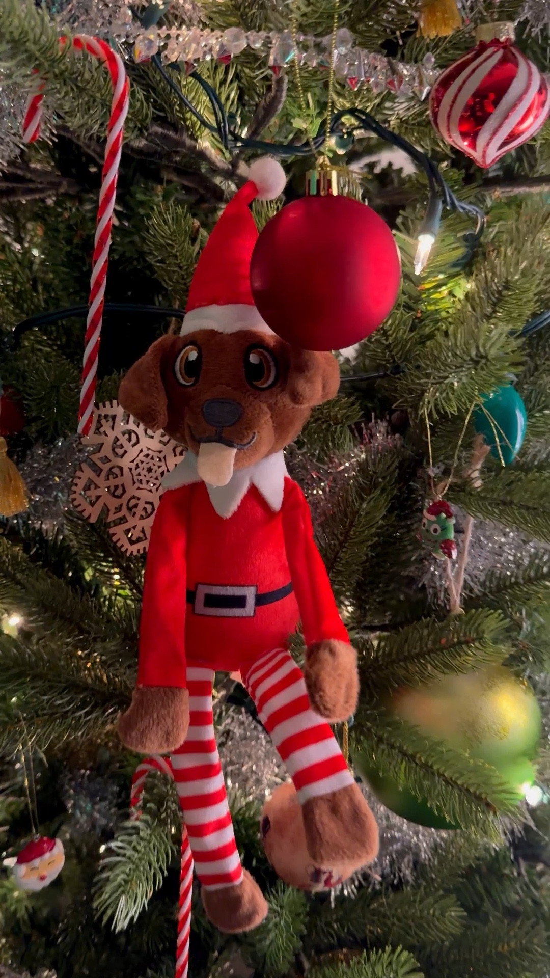 Starting a fun little tradition this year and we’re so excited to be doing it with Pancake— our very own Pooch on a Perch (Elf on the Shelf). 🎄🐾✨ 

She’s already causing chaos in the tree and honestly…it just feels right for our household. Can’t wait to share all the places she pops up this month!

pooch on a perch, dog elf on the shelf ideas, christmas dog traditions, holiday pet ideas, festive dog activities, christmas tree decor, cute dog christmas, holiday tradition with pets, christmas elf ideas, pet parents holiday ideas

#LTKmomlife #LTKGiftGuide #LTKHoliday