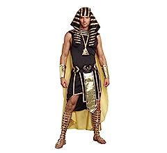 Dreamgirl Mens King of Egypt King Tut Costume, Gold, Medium (38-40) - 2X-Large (50-52) | Amazon (US)