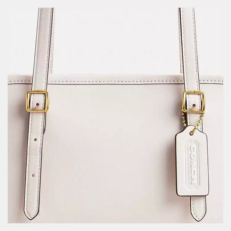 Swing Zip Bag | Coach (US)