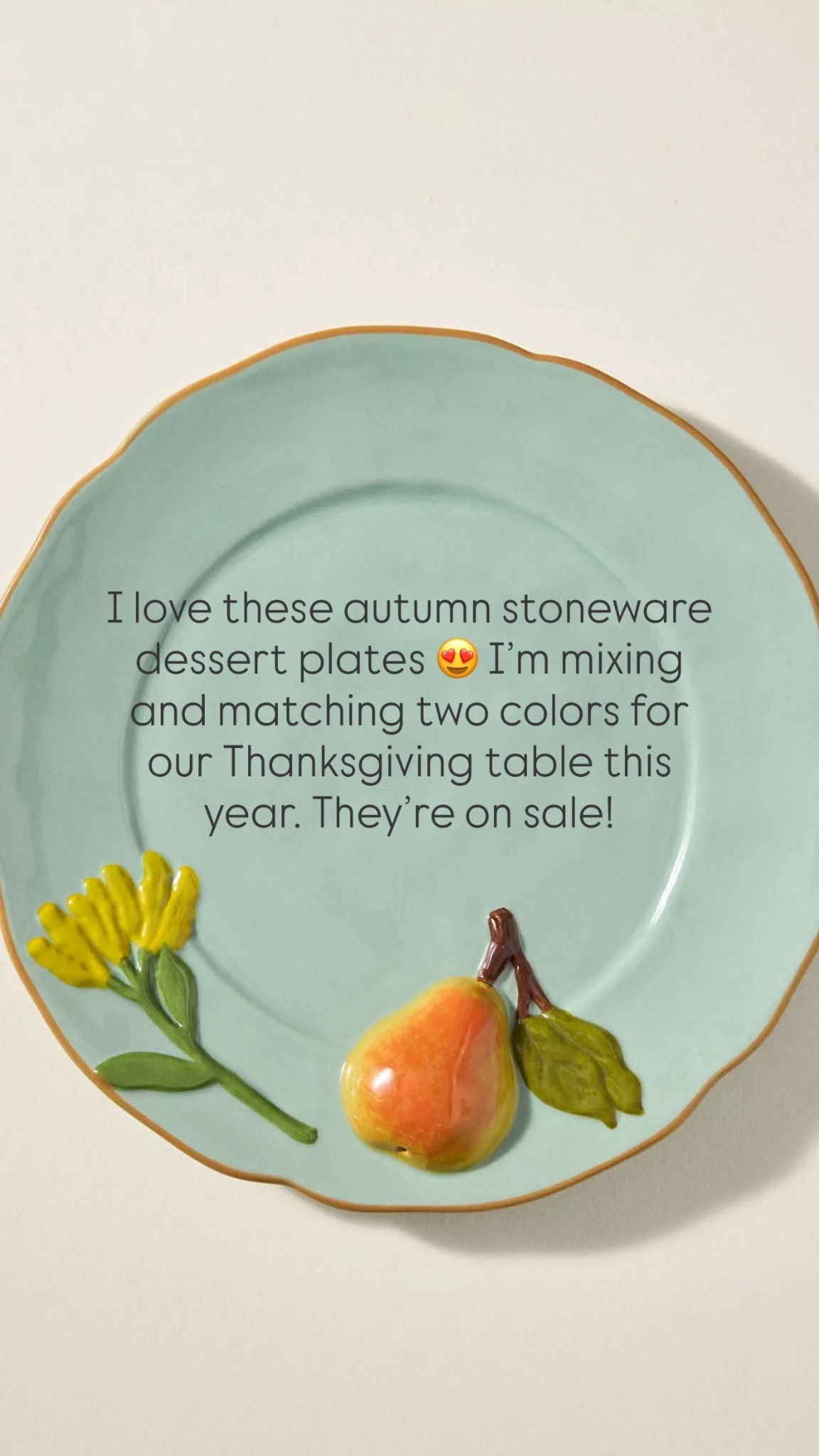 I love these autumn stoneware dessert plates 😍 I’m mixing and matching two colors for our Thanksgiving table this year. They’re on sale! 

#LTKSaleAlert #LTKSeasonal #LTKHome
