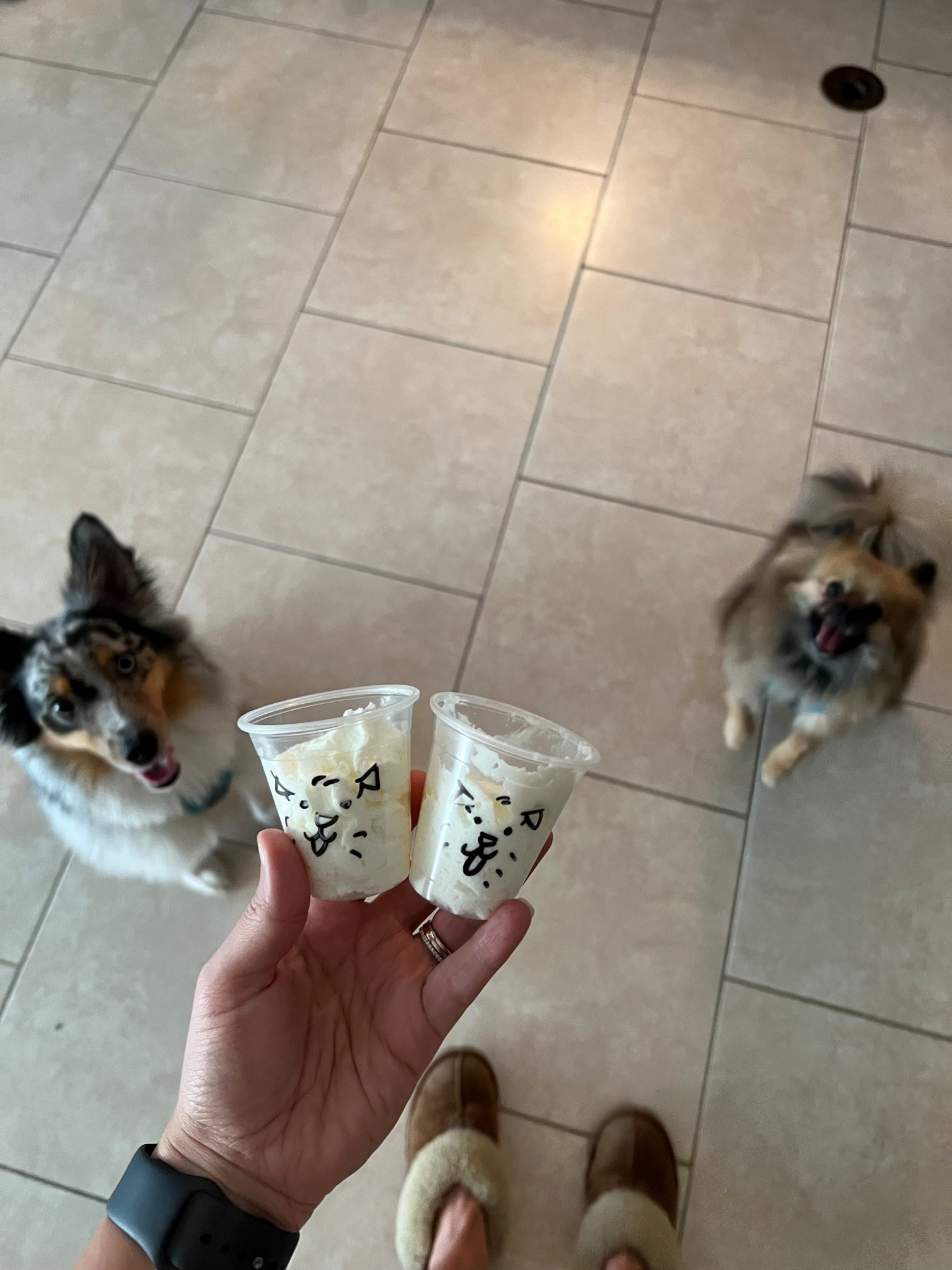 Pet products, dog products, dog mom, LTK pets