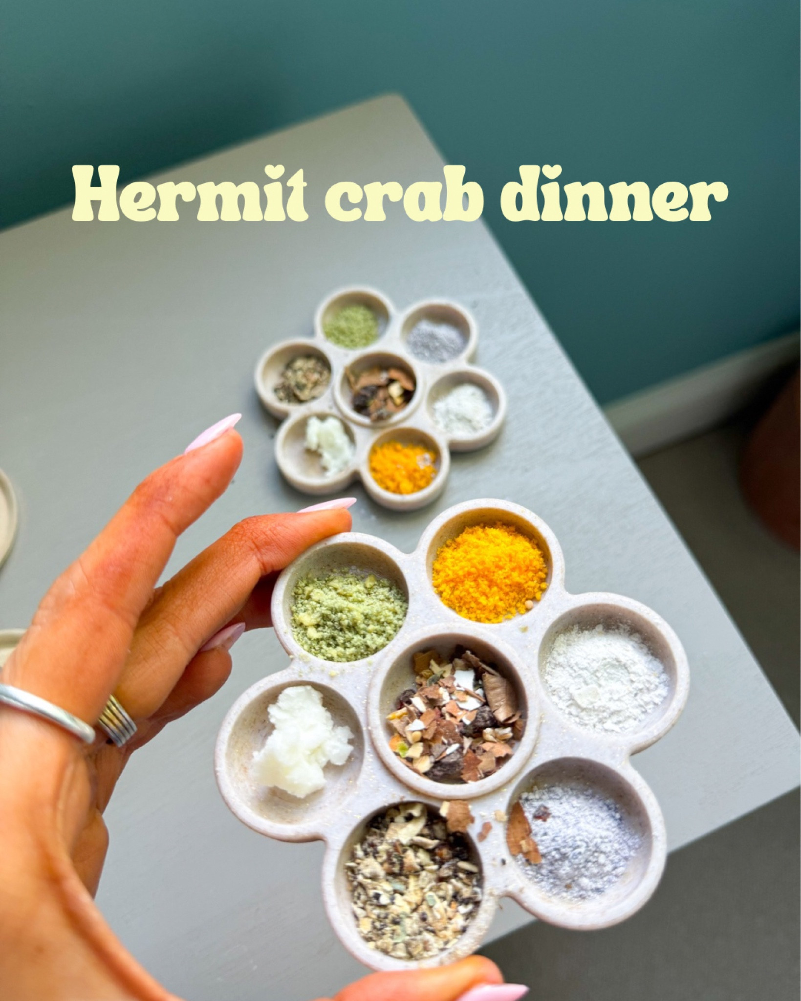 Hermit crab dinner 